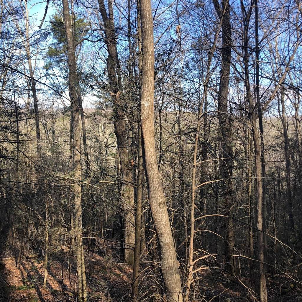https://bt-photos.global.ssl.fastly.net/nashville/orig_boomver_1_RTC3225955-1.jpg