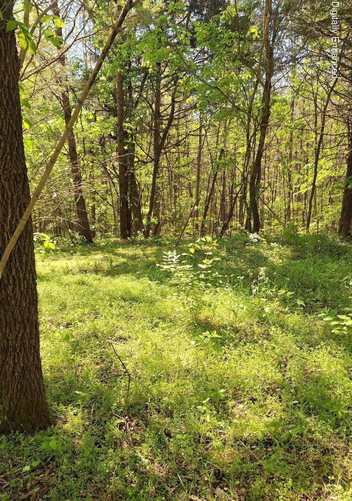https://bt-photos.global.ssl.fastly.net/nashville/orig_boomver_1_RTC3225959-1.jpg