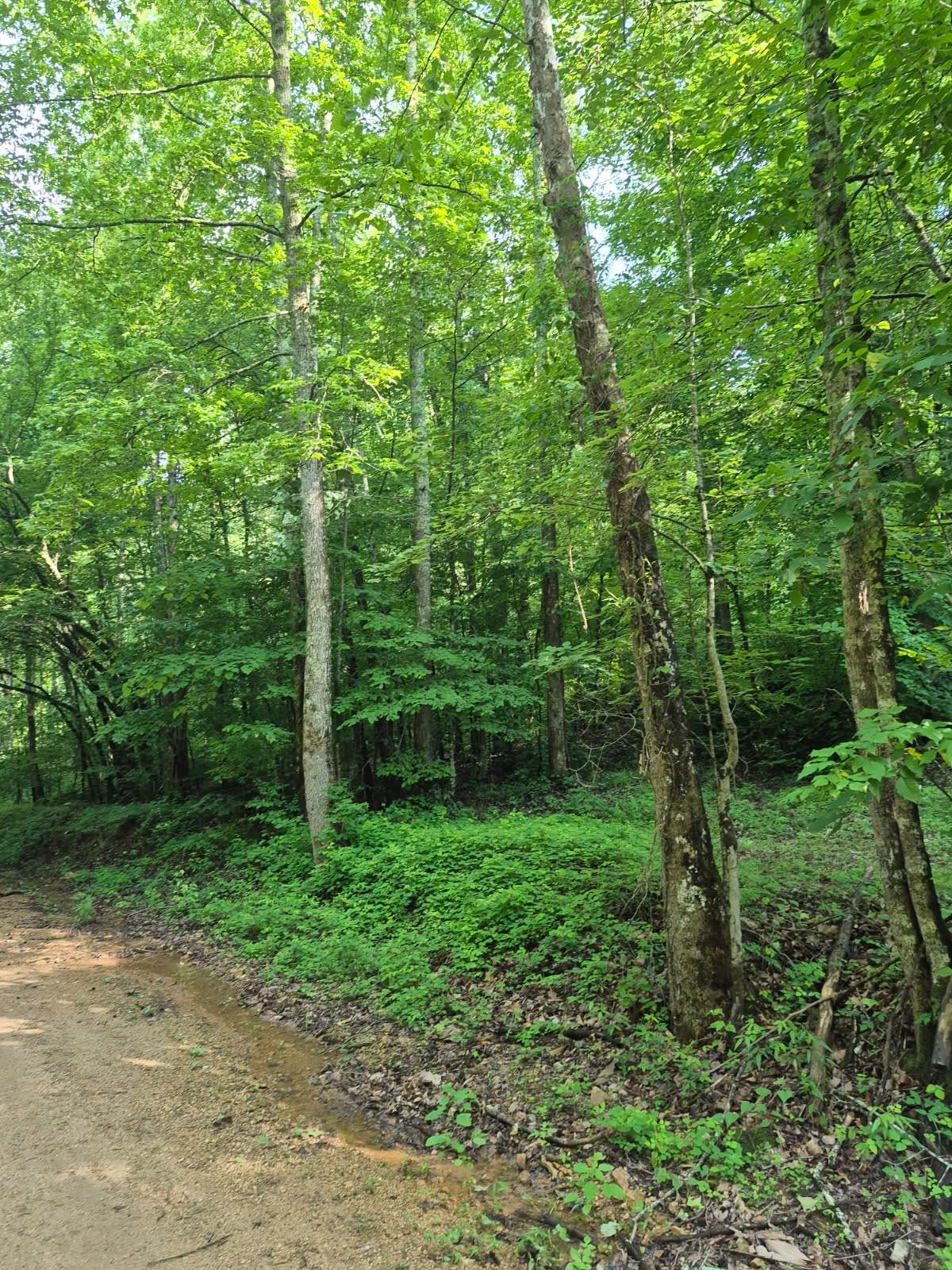 https://bt-photos.global.ssl.fastly.net/nashville/orig_boomver_1_RTC3229037-1.jpg