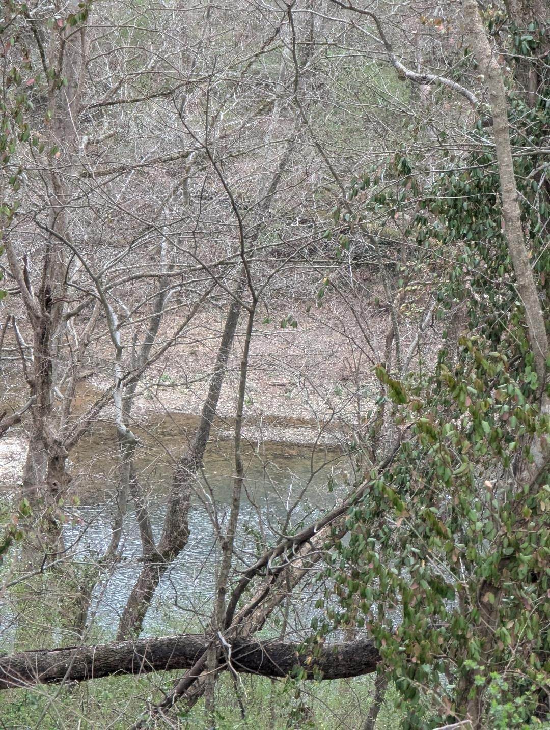 https://bt-photos.global.ssl.fastly.net/nashville/orig_boomver_1_RTC3229262-1.jpg