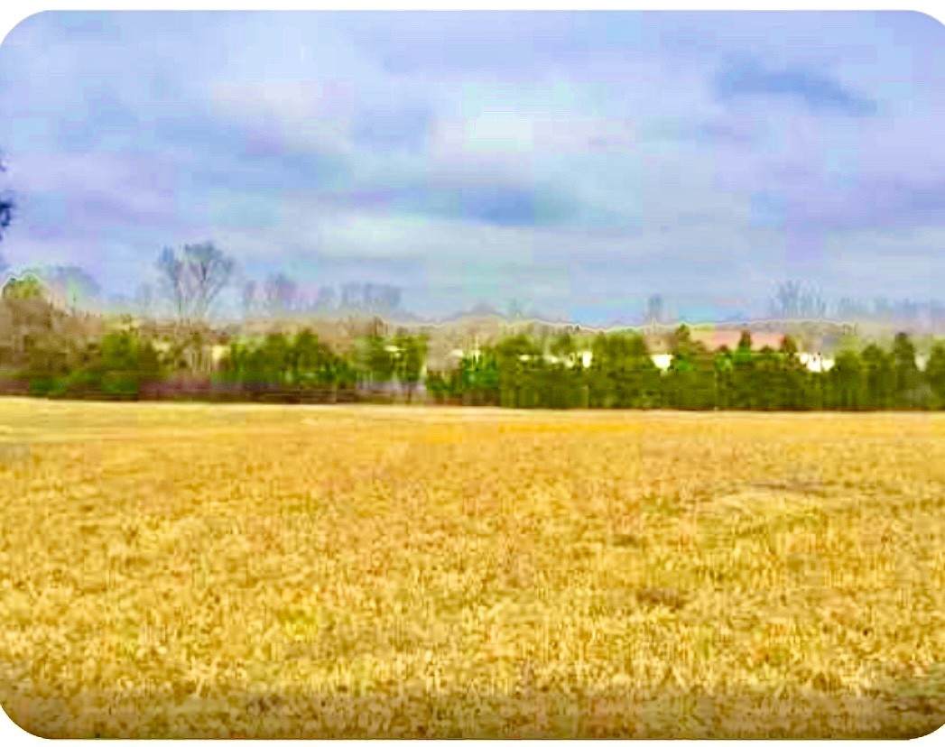 0 N Old Mt Juliet Rd - Photo 1