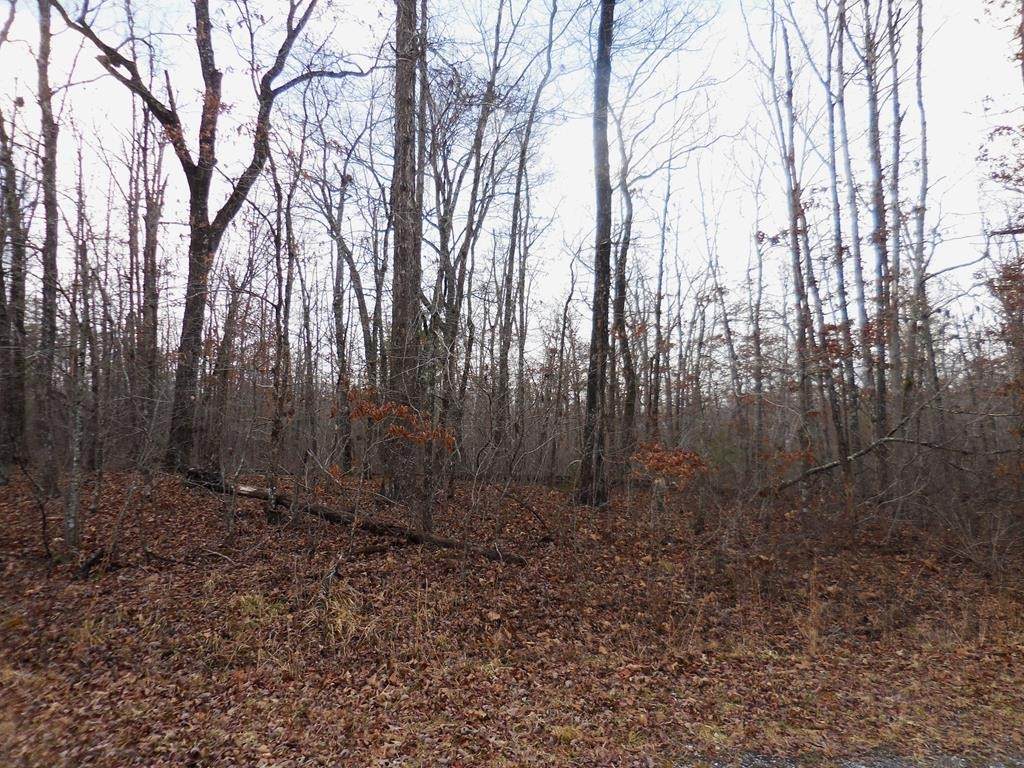 3008 Diego Drive - Photo 1