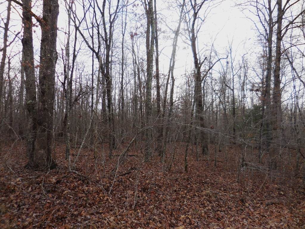 https://bt-photos.global.ssl.fastly.net/nashville/orig_boomver_1_RTC3229658-1.jpg