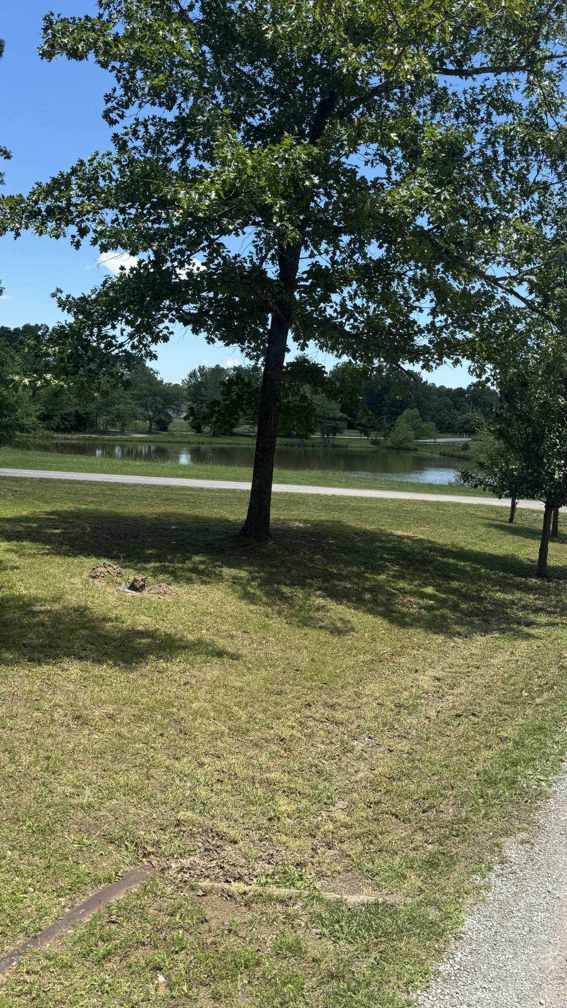 https://bt-photos.global.ssl.fastly.net/nashville/orig_boomver_1_RTC3229827-1.jpg