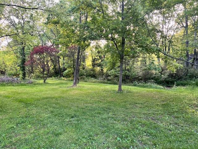 698 Clearview Rd - Photo 1