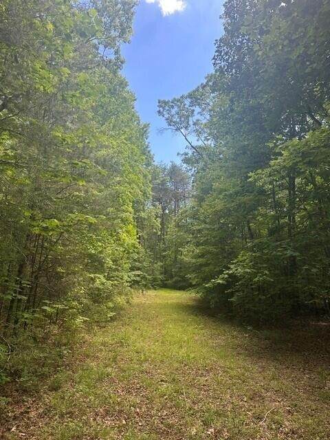 43 Bluffs Woods - Photo 1