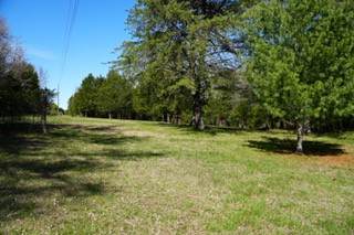 6790 Flat Creek Rd - Photo 1
