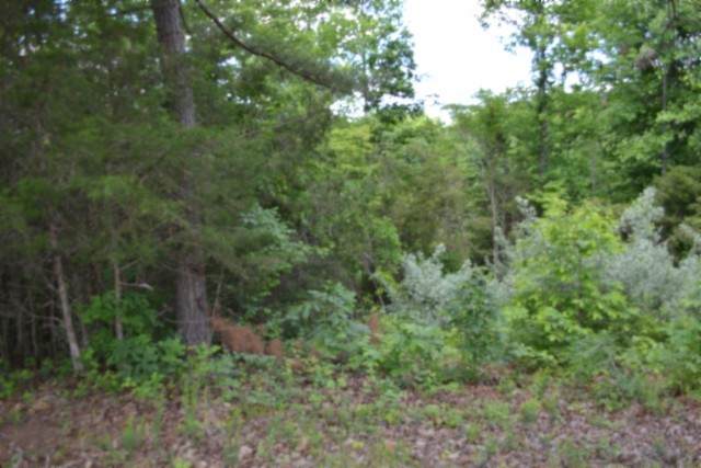 0 Beauchamp Rd - Photo 1