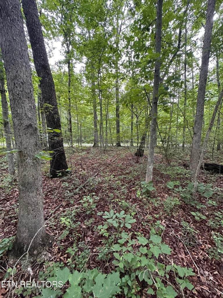 https://bt-photos.global.ssl.fastly.net/nashville/orig_boomver_1_RTC3231400-1.jpg