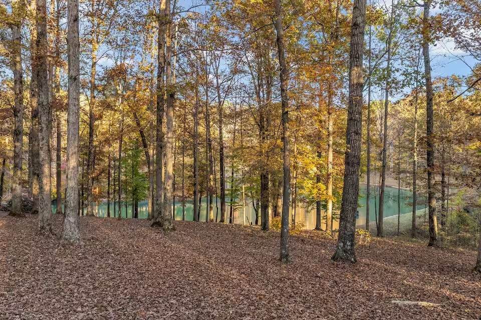 https://bt-photos.global.ssl.fastly.net/nashville/orig_boomver_1_RTC3231954-1.jpg