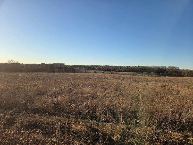 1 Stone Road - Photo 1