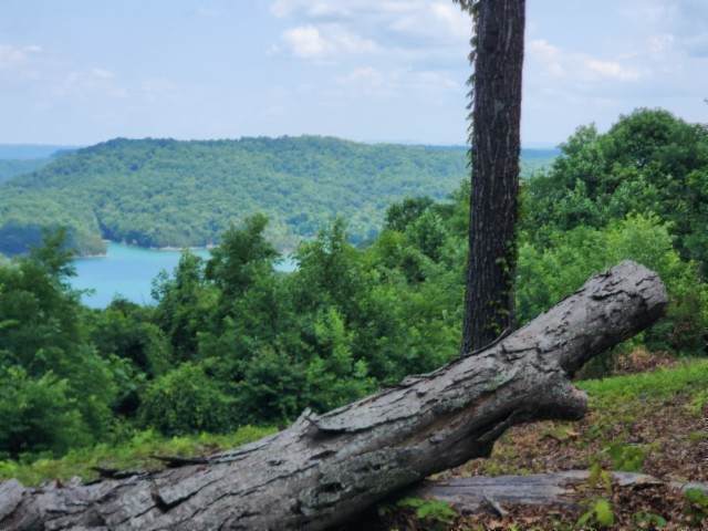 https://bt-photos.global.ssl.fastly.net/nashville/orig_boomver_1_RTC3234816-1.jpg