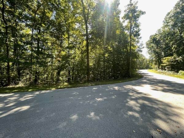 0 Coves Point Rd - Photo 1
