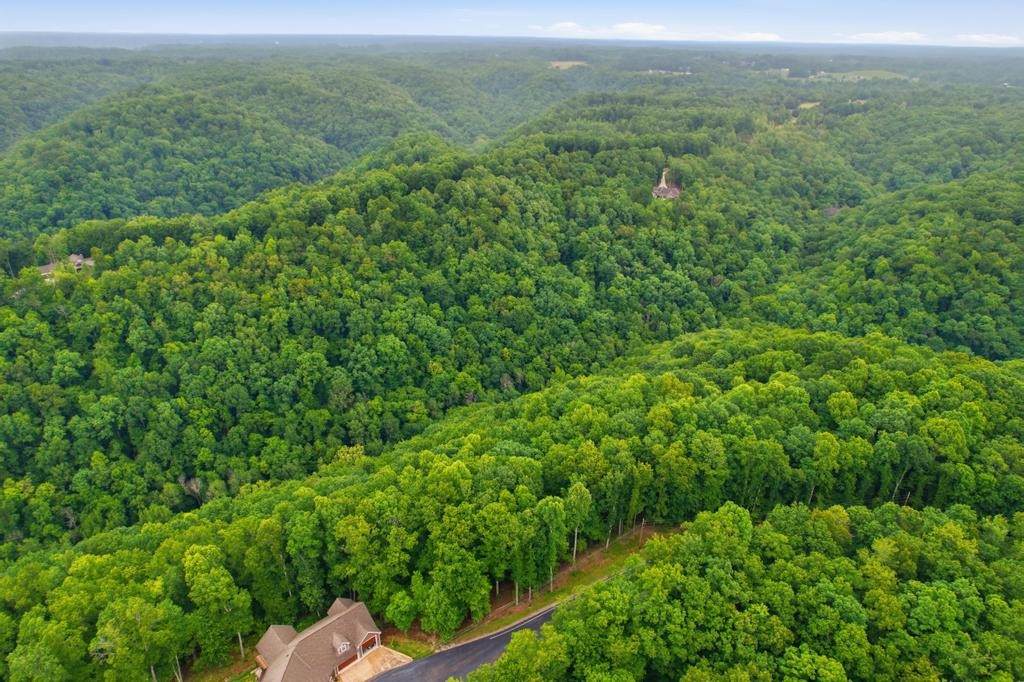 0 Serenity Ridge Rd - Photo 1