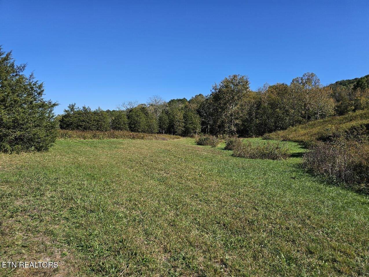 0 Shoreline Vista - Photo 1