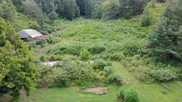 440 Big Spring Hollow Rd - Photo 1