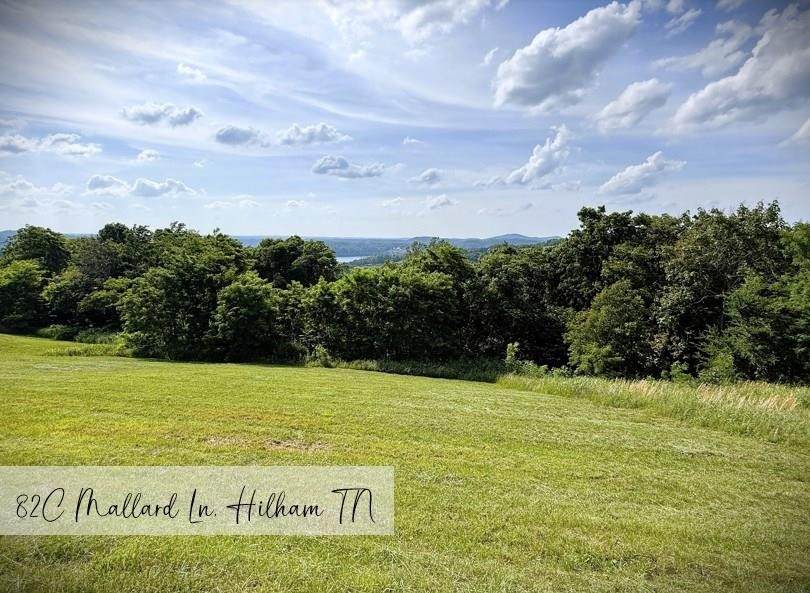 82c Mallard Rd - Photo 1