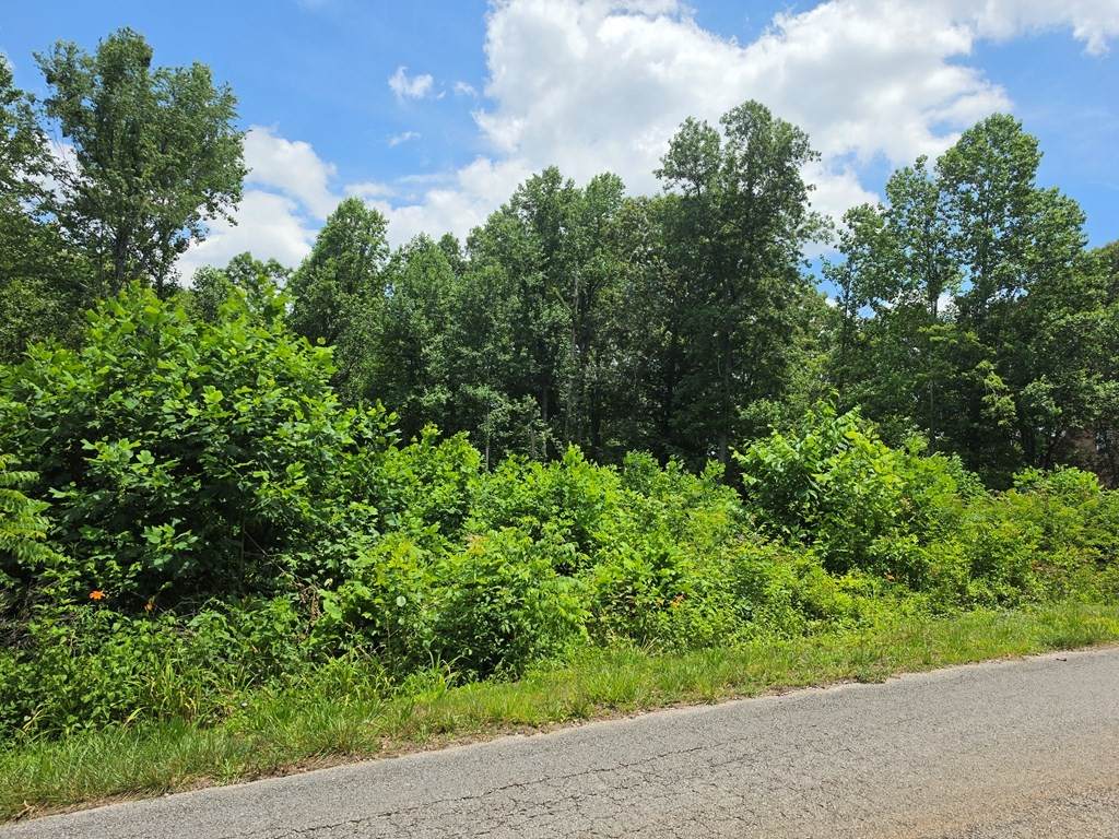 https://bt-photos.global.ssl.fastly.net/nashville/orig_boomver_1_RTC3243418-1.jpg
