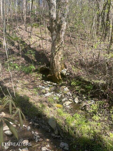 1 Old Furnace Rd - Photo 1