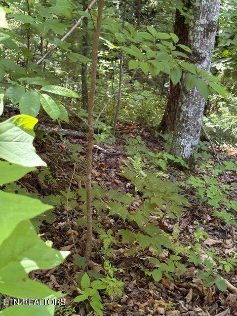 https://bt-photos.global.ssl.fastly.net/nashville/orig_boomver_1_RTC3243667-1.jpg