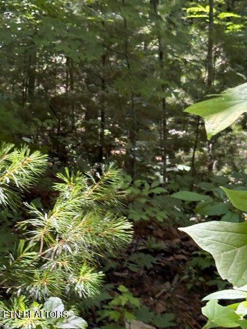 https://bt-photos.global.ssl.fastly.net/nashville/orig_boomver_1_RTC3243667-1.jpg