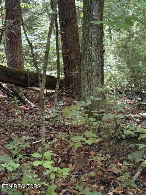 https://bt-photos.global.ssl.fastly.net/nashville/orig_boomver_1_RTC3243667-1.jpg