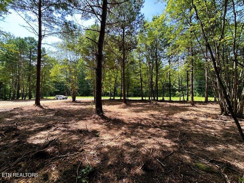 34 State Highway 304 - Photo 1