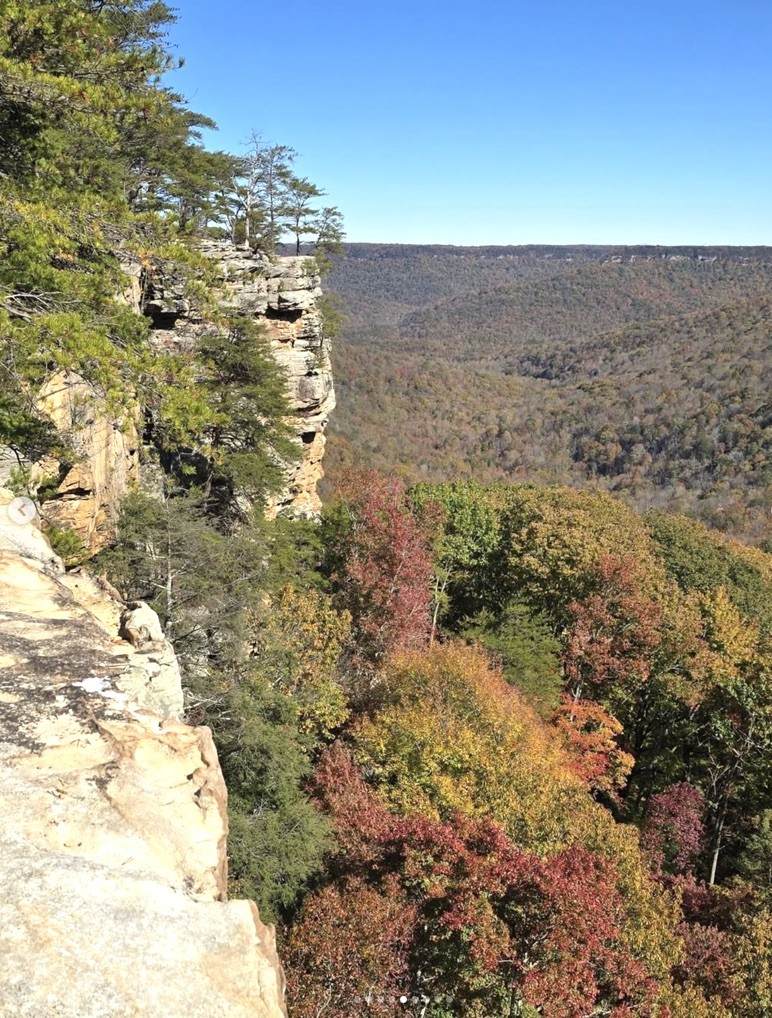 https://bt-photos.global.ssl.fastly.net/nashville/orig_boomver_1_RTC3244849-1.jpg