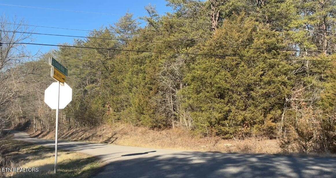 0 Alex Bales Rd - Photo 1