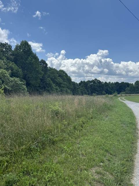 https://bt-photos.global.ssl.fastly.net/nashville/orig_boomver_1_RTC3245654-1.jpg