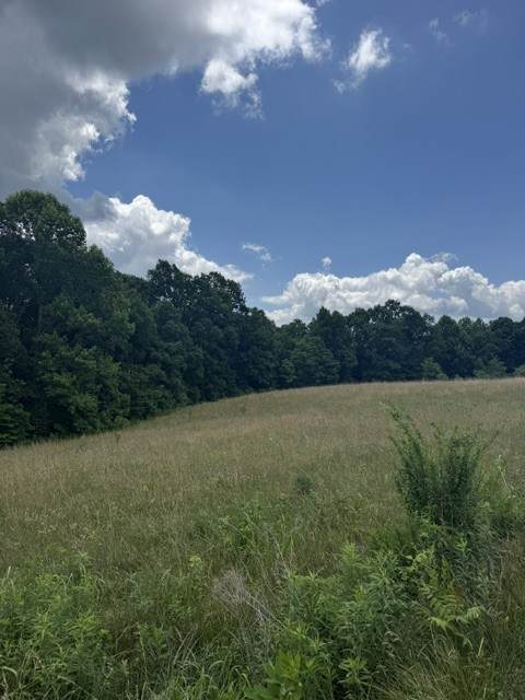 https://bt-photos.global.ssl.fastly.net/nashville/orig_boomver_1_RTC3245654-1.jpg