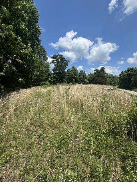 0 Claude Hargis Ln - Photo 1