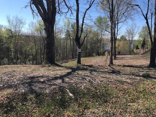 14 Piney View Drive - Photo 1
