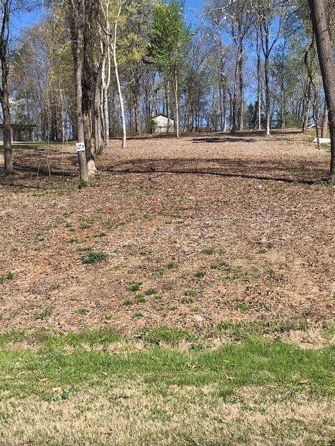 6 Piney View Drive - Photo 1