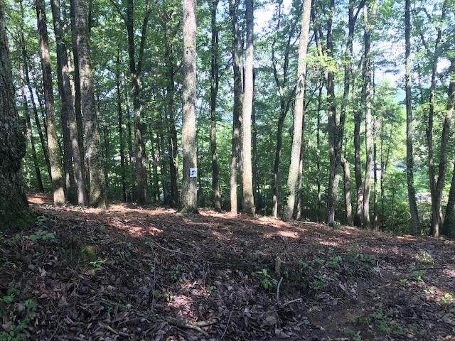 25 Piney Knob Drive - Photo 1