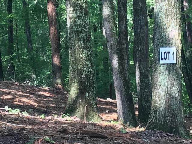 1 Piney Knob Drive - Photo 1