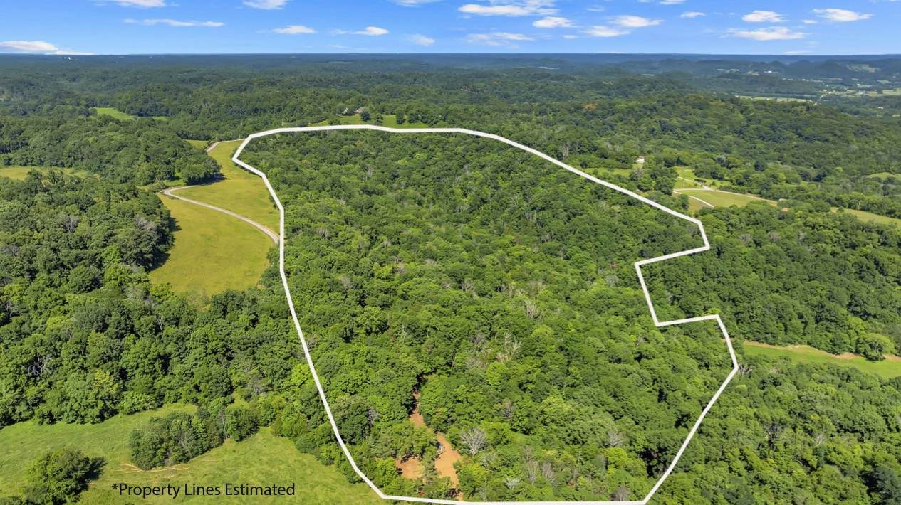 0 Wolf Hill Road - Photo 1