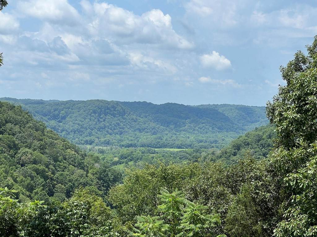 https://bt-photos.global.ssl.fastly.net/nashville/orig_boomver_1_RTC3247799-1.jpg