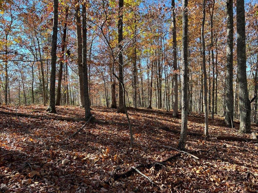 https://bt-photos.global.ssl.fastly.net/nashville/orig_boomver_1_RTC3247799-1.jpg