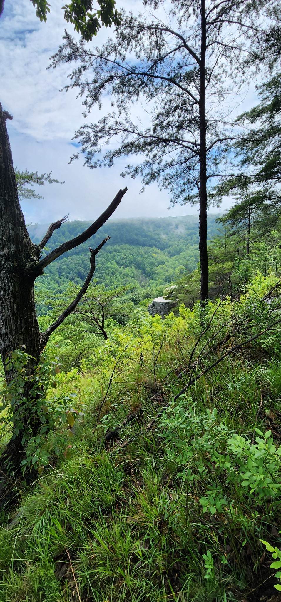 https://bt-photos.global.ssl.fastly.net/nashville/1280_boomver_1_RTC3250513-1.jpg