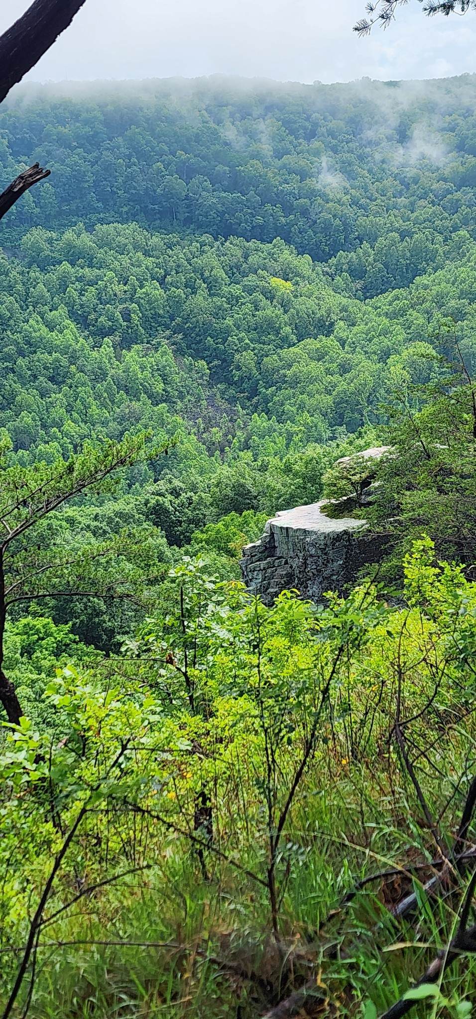 https://bt-photos.global.ssl.fastly.net/nashville/1280_boomver_1_RTC3250513-1.jpg