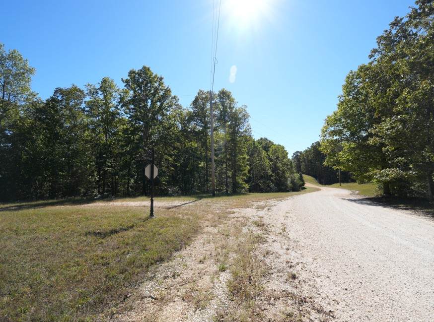 https://bt-photos.global.ssl.fastly.net/nashville/orig_boomver_1_RTC3250611-1.jpg