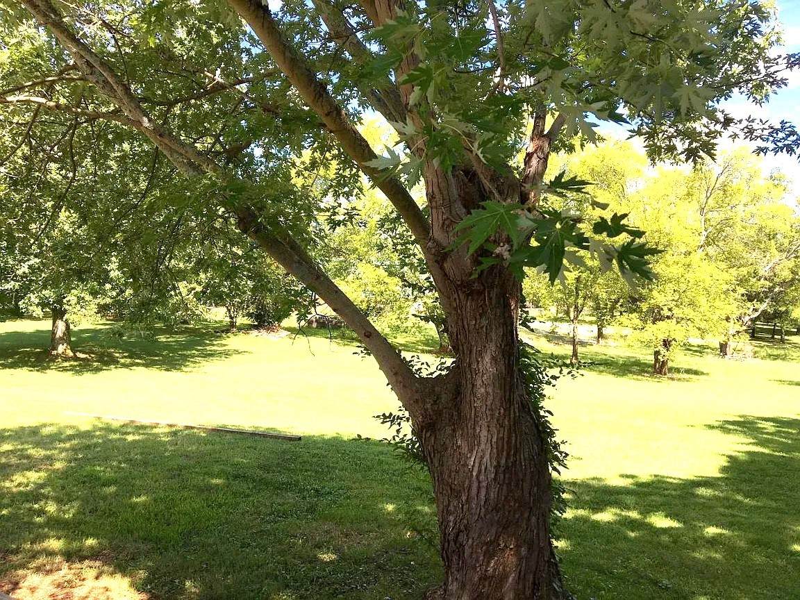 https://bt-photos.global.ssl.fastly.net/nashville/orig_boomver_1_RTC3251053-1.jpg