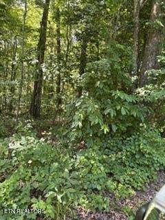 https://bt-photos.global.ssl.fastly.net/nashville/orig_boomver_1_RTC3252030-1.jpg