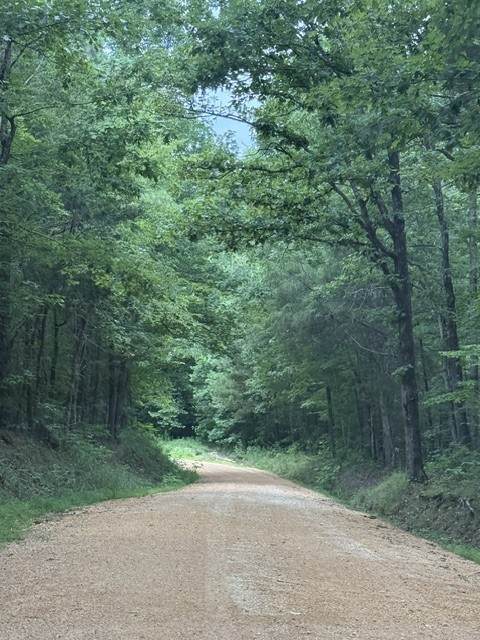 0 Old State Highway 69 - Photo 1