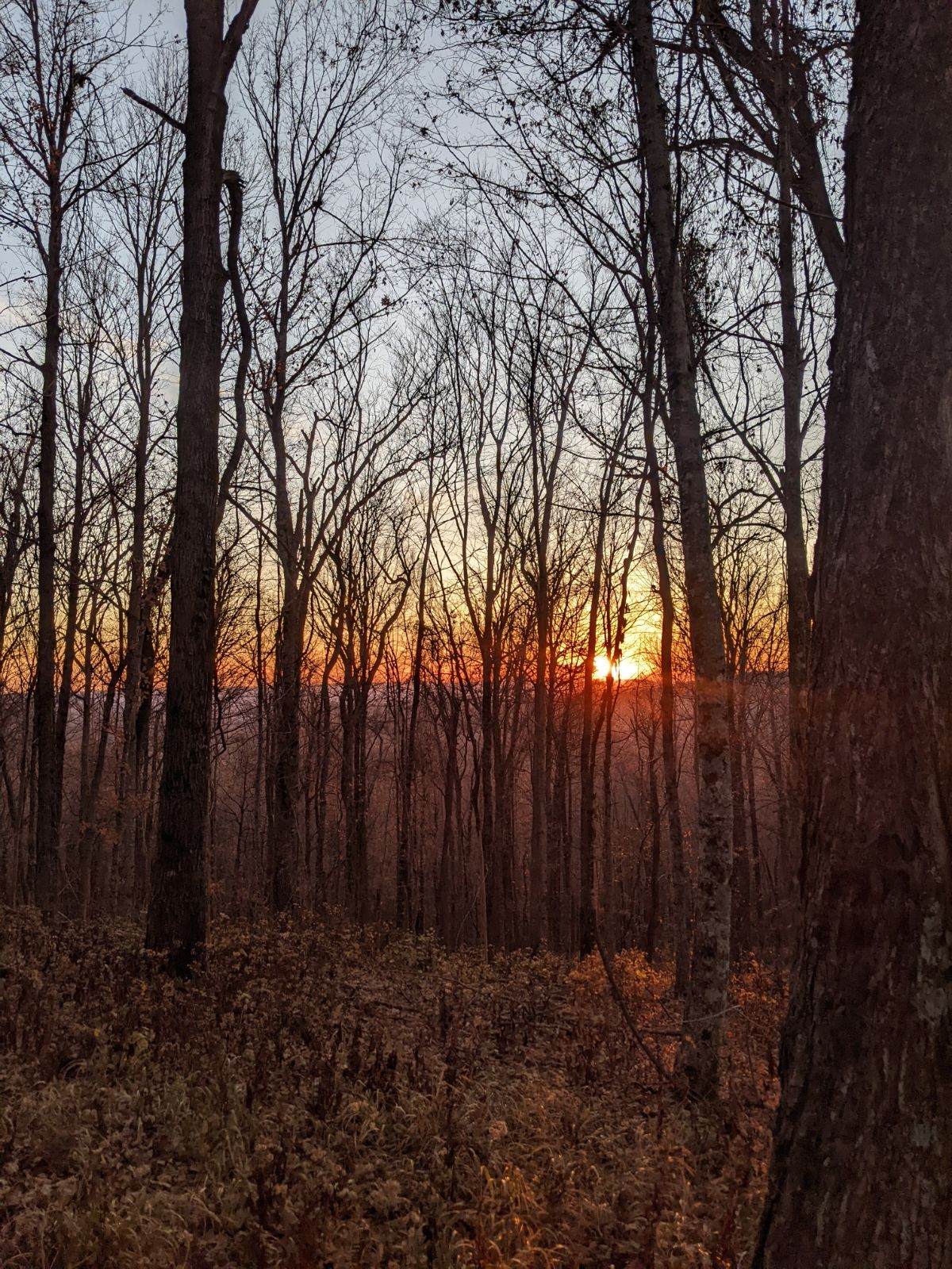 https://bt-photos.global.ssl.fastly.net/nashville/orig_boomver_1_RTC3256281-1.jpg