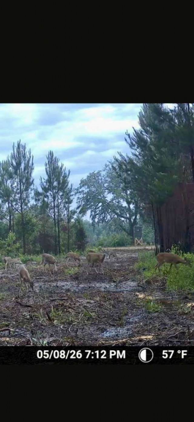 0 Sealy Wells Rd - Photo 1