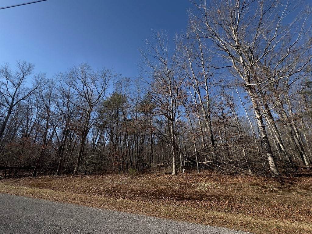 https://bt-photos.global.ssl.fastly.net/nashville/orig_boomver_1_RTC3260982-1.jpg