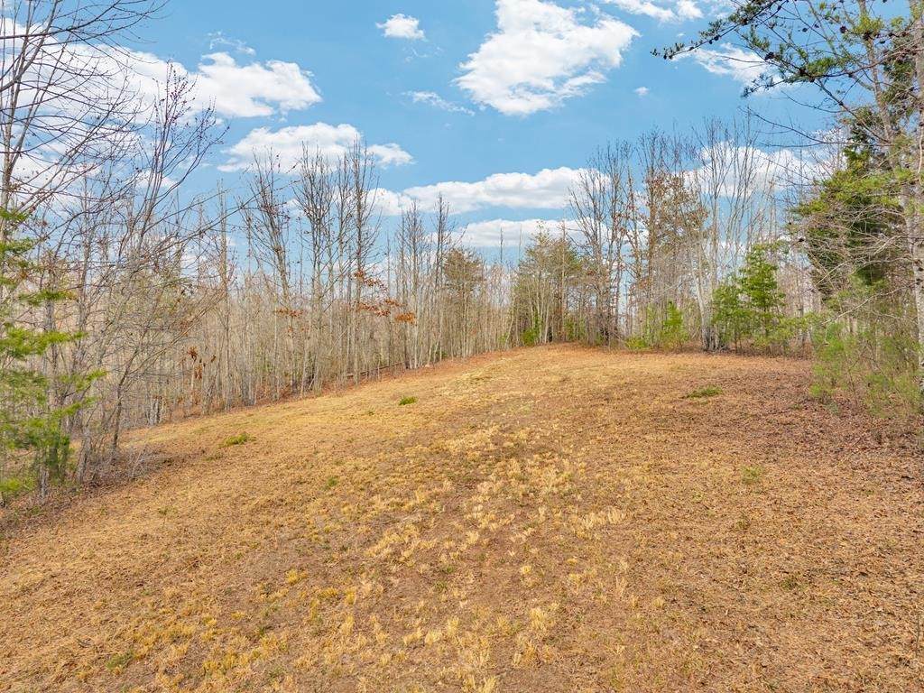 0 Soak Creek Lane - Photo 1