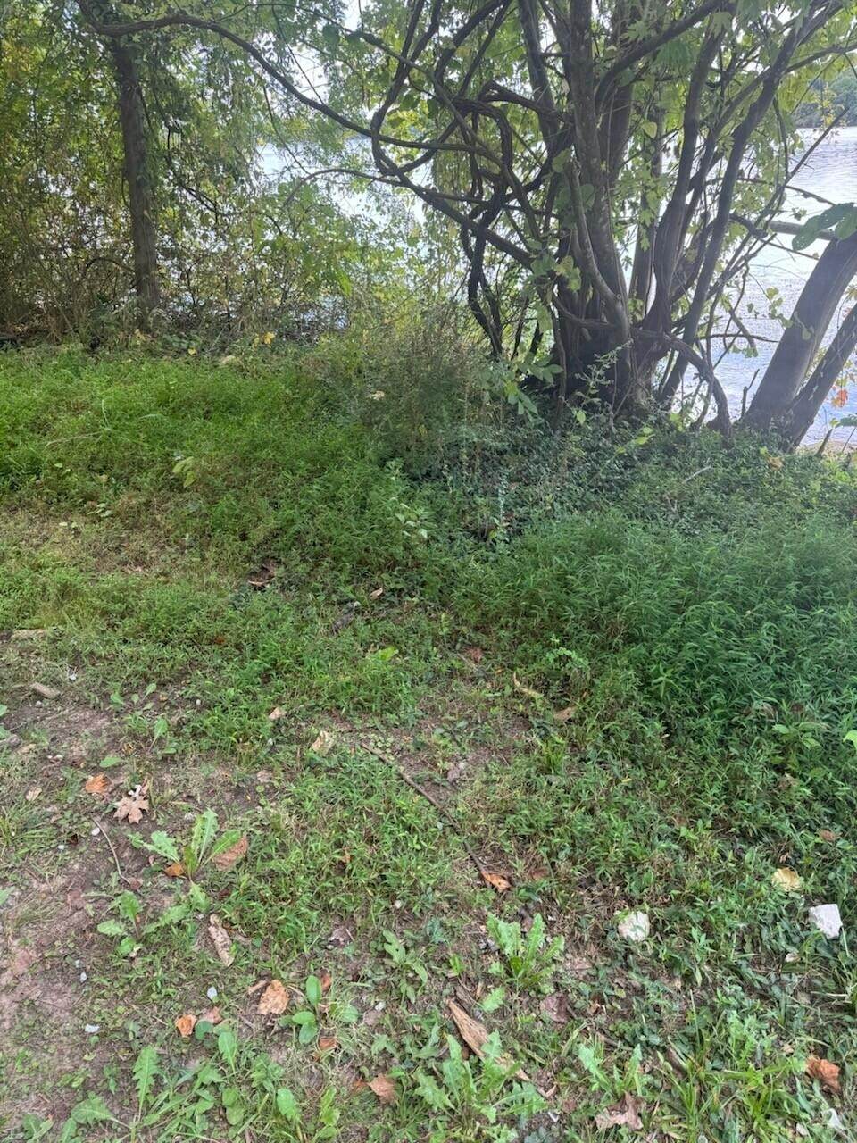0 Circle Road - Photo 1
